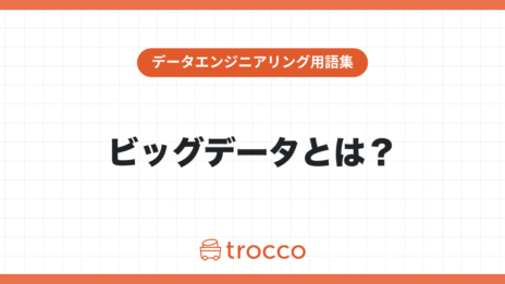 ビッグデータとは？